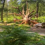 Domek alpejski Oase Rust En Privacy Op De Veluwe Voor 4 Personen