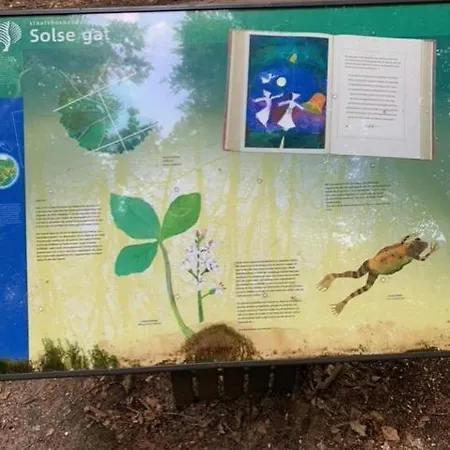 Oase Rust En Privacy Op De Veluwe Voor 4 Personen Putten