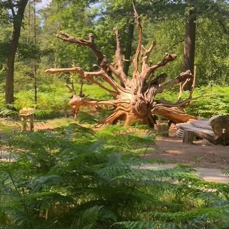 Chalet Oase Rust En Privacy Op De Veluwe Voor 4 Personen