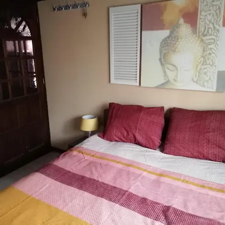 Oase Rust En Privacy Op De Veluwe Voor 4 Personen Chalet Putten