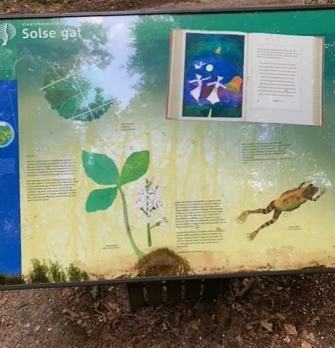 Oase Rust En Privacy Op De Veluwe Voor 4 Personen بوتِنْ