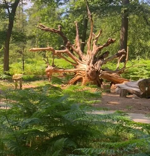 شاليه Oase Rust En Privacy Op De Veluwe Voor 4 Personen